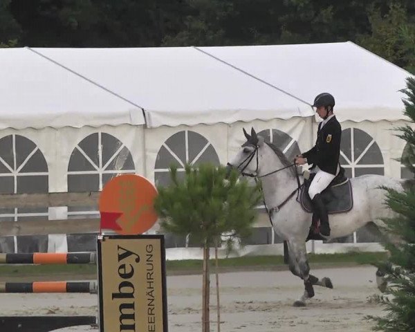 Springturnier Hubertushof RSG Linkenheim-Hochstetten 2014