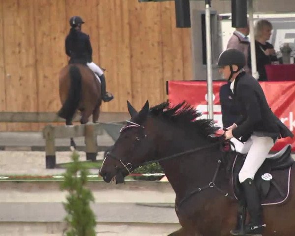 Springturnier Hubertushof RSG Linkenheim-Hochstetten 2014