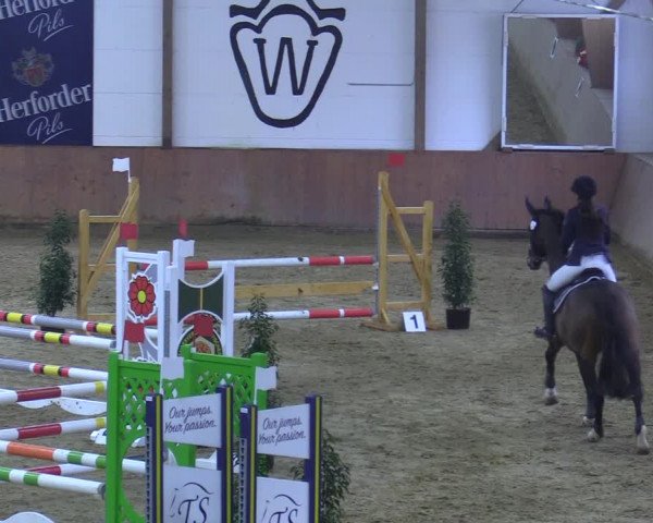Reitturnier Bad Salzuflen 2021