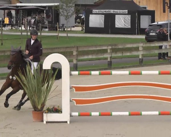 Springturnier Hubertushof RSG Linkenheim-Hochstetten 2014
