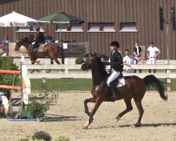 Springturnier Hubertushof RSG Linkenheim-Hochstetten 2014