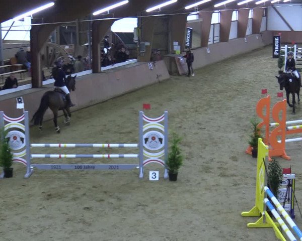 Reitturnier Bad Salzuflen 2021
