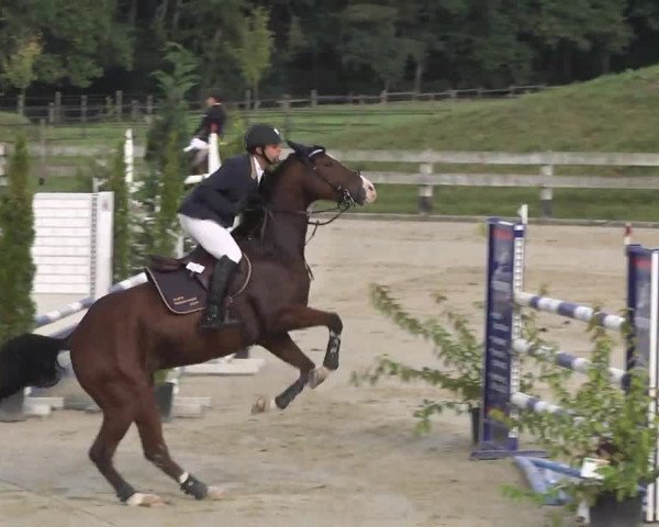 Springturnier Hubertushof RSG Linkenheim-Hochstetten 2014