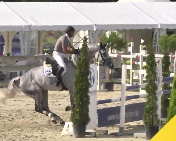 Springturnier Hubertushof RSG Linkenheim-Hochstetten 2014
