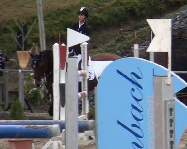Großes Springturnier Siegen 2014