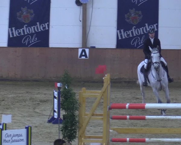 Reitturnier Bad Salzuflen 2021
