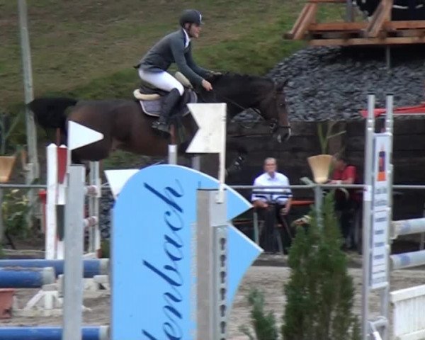 Großes Springturnier Siegen 2014