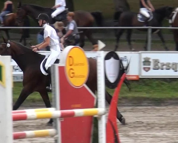 Großes Springturnier Siegen 2014