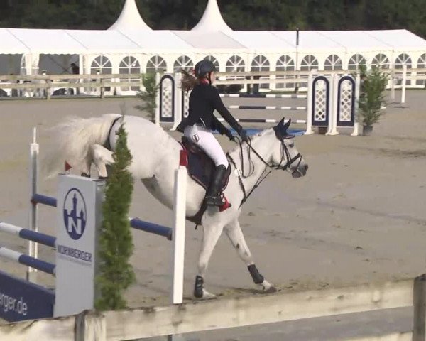 Springturnier Hubertushof RSG Linkenheim-Hochstetten 2014
