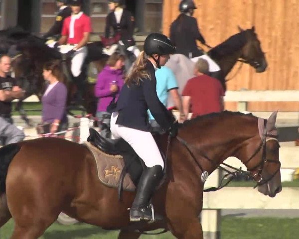 Springturnier Hubertushof RSG Linkenheim-Hochstetten 2014