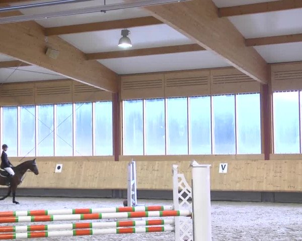 Springturnier Hubertushof RSG Linkenheim-Hochstetten 2014