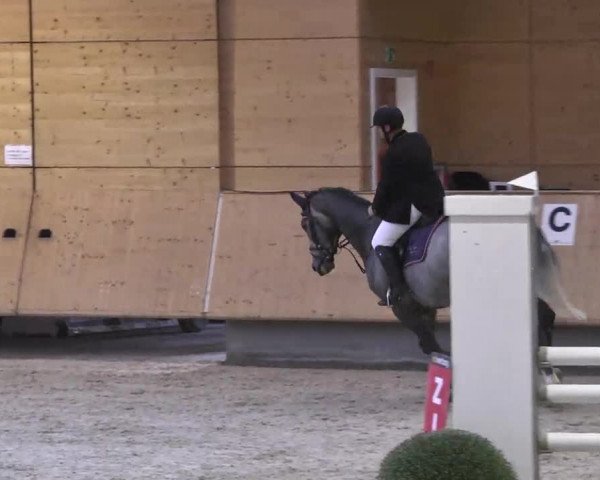 Springturnier Hubertushof RSG Linkenheim-Hochstetten 2014