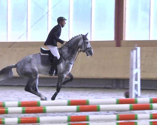 Springturnier Hubertushof RSG Linkenheim-Hochstetten 2014
