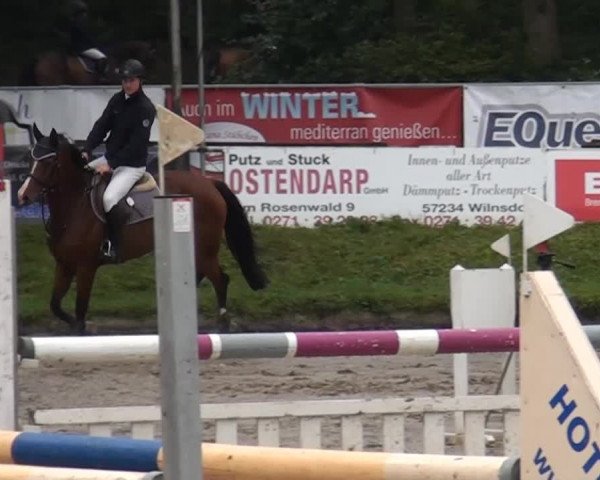 Großes Springturnier Siegen 2014