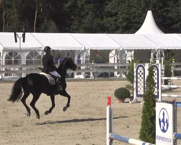 Springturnier Hubertushof RSG Linkenheim-Hochstetten 2014