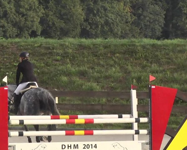 Springturnier Hubertushof RSG Linkenheim-Hochstetten 2014