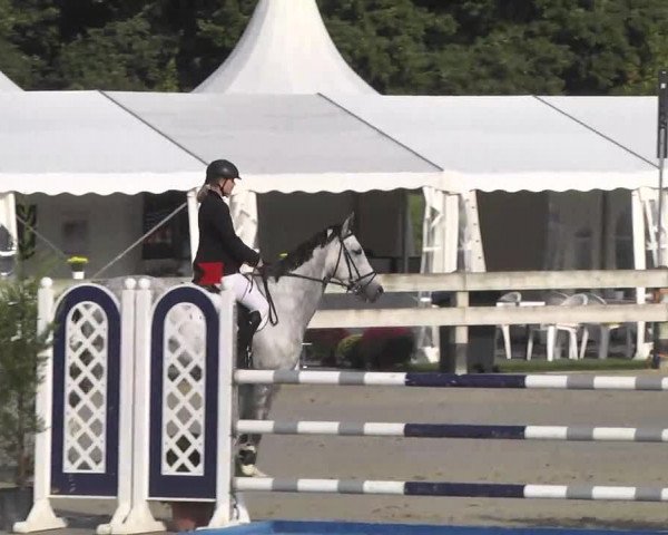 Springturnier Hubertushof RSG Linkenheim-Hochstetten 2014