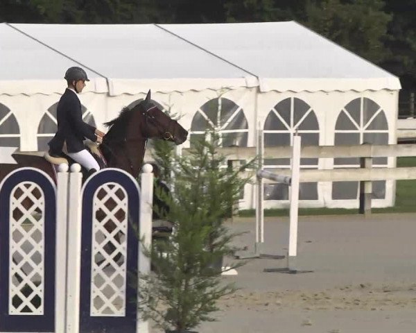 Springturnier Hubertushof RSG Linkenheim-Hochstetten 2014