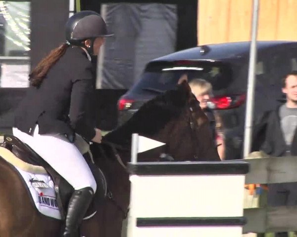 Springturnier Hubertushof RSG Linkenheim-Hochstetten 2014