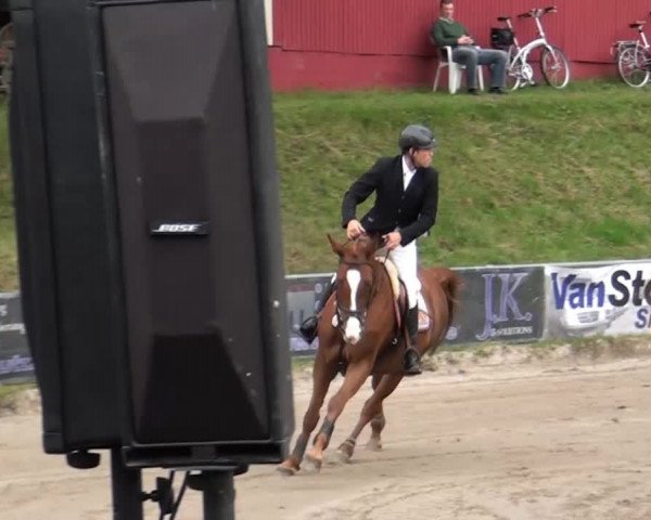 Großes Springturnier Siegen 2014