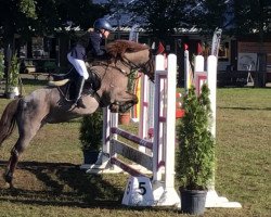 jumper Mona 1584 (unknown, 2009)