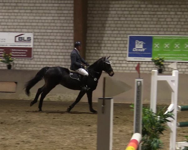 Reitturnier Kamen 2021