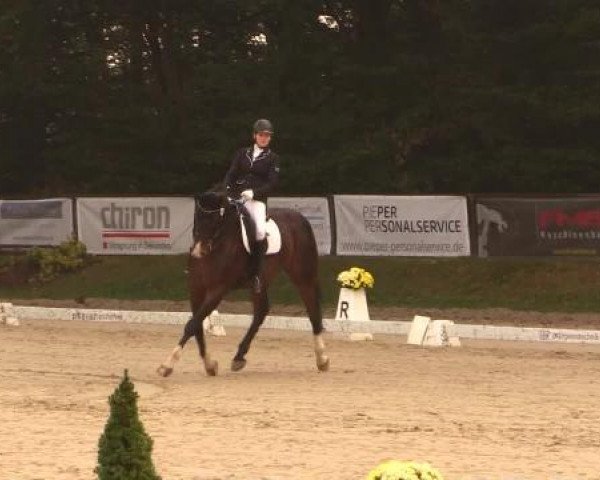 Dressurturnier Meinerzhagen 2014