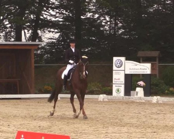 Dressurturnier Meinerzhagen 2014