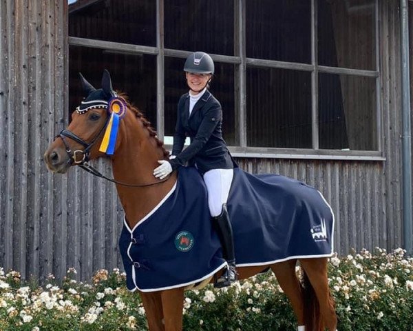 dressage horse Miss Morricone (Oldenburg, 2016, from Morricone)