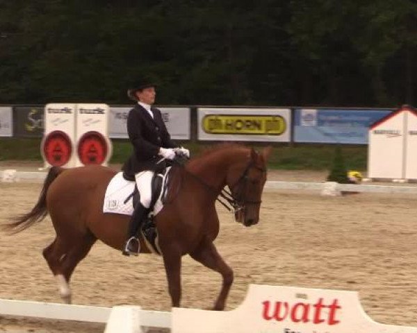 Dressurturnier Meinerzhagen 2014