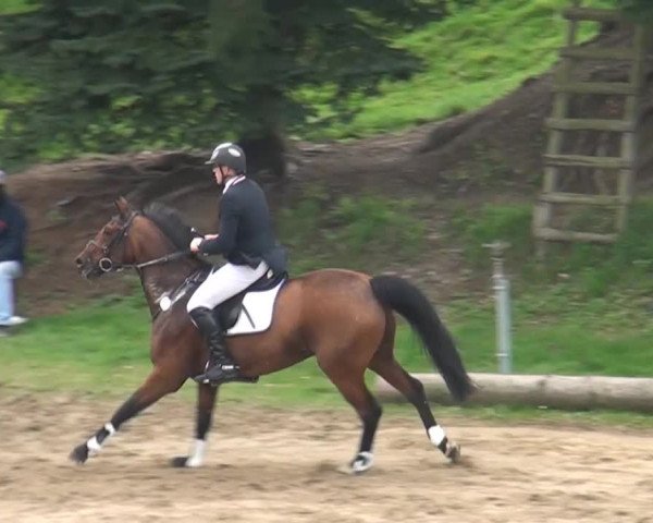 Aachen - Gut Weyern 2014