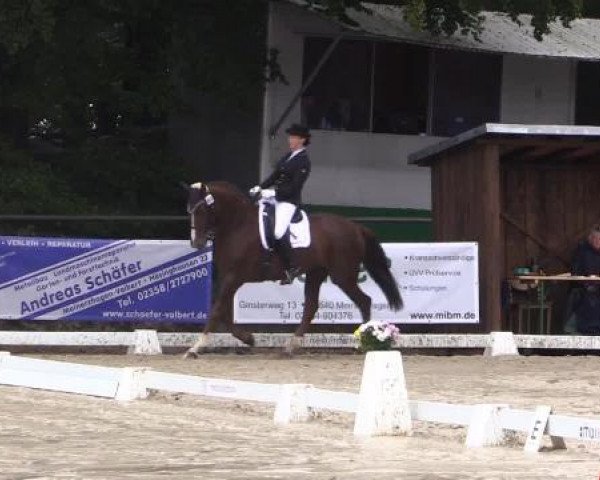 Dressurturnier Meinerzhagen 2014