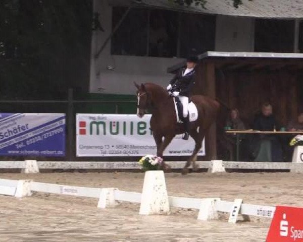 Dressurturnier Meinerzhagen 2014