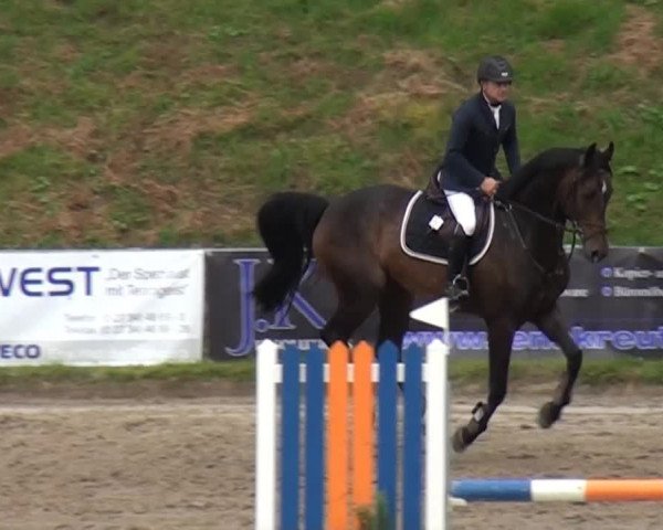 Großes Springturnier Siegen 2014