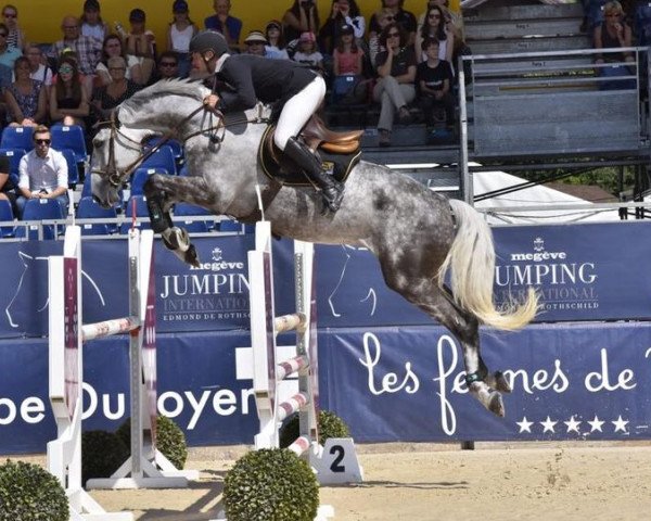 horse Vasco de Kreisker (Selle Français, 2009, from Spartakhus)