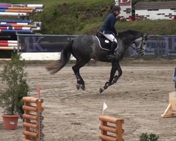 Großes Springturnier Siegen 2014
