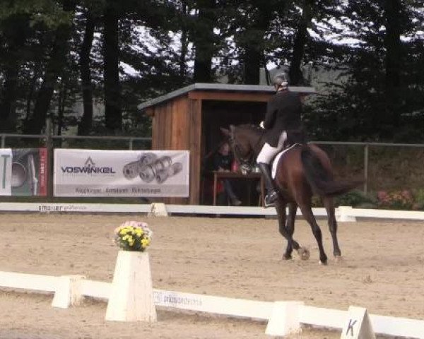 Dressurturnier Meinerzhagen 2014
