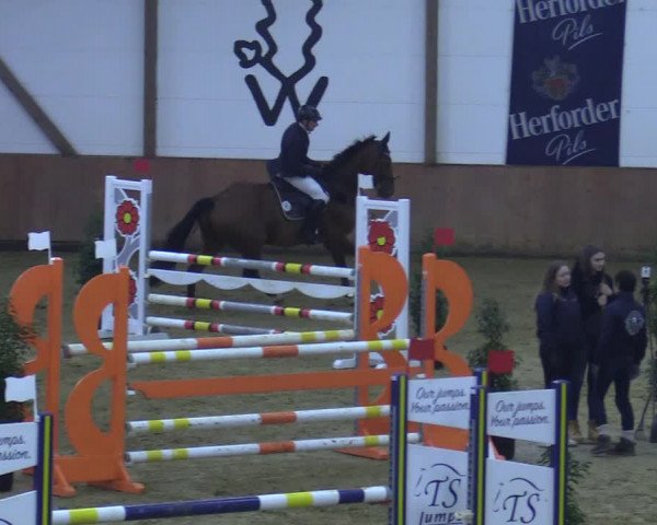 Reitturnier Bad Salzuflen 2021