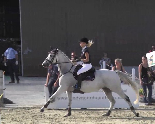 Springturnier Hubertushof RSG Linkenheim-Hochstetten 2014