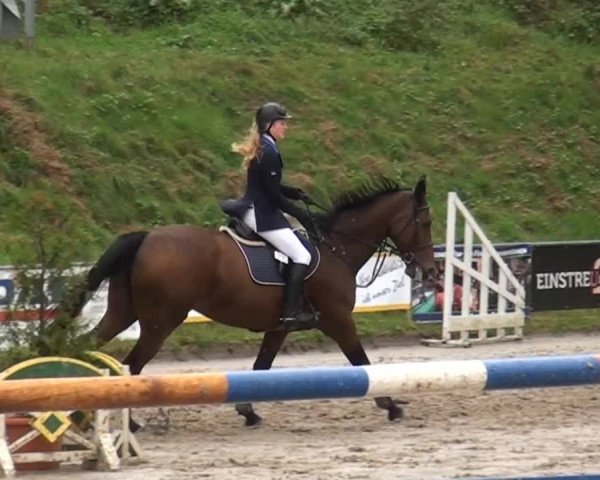 Großes Springturnier Siegen 2014