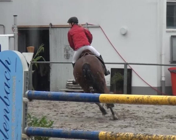 Großes Springturnier Siegen 2014