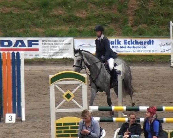 Großes Springturnier Siegen 2014