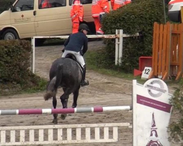 Großes Springturnier Siegen 2014