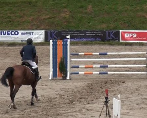 Großes Springturnier Siegen 2014