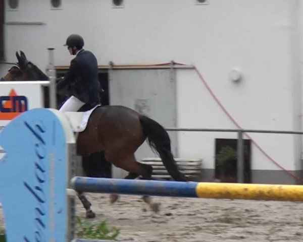 Großes Springturnier Siegen 2014