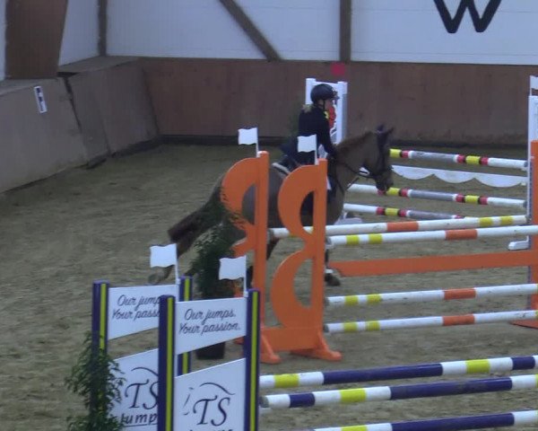 Reitturnier Bad Salzuflen 2021