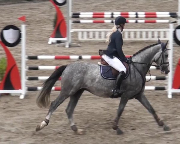 Großes Springturnier Siegen 2014