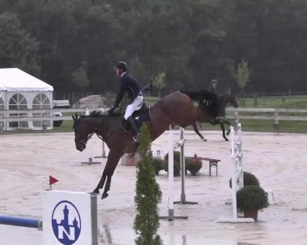 Springturnier Hubertushof RSG Linkenheim-Hochstetten 2014