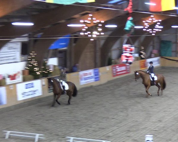 Reitturnier Leck 2021