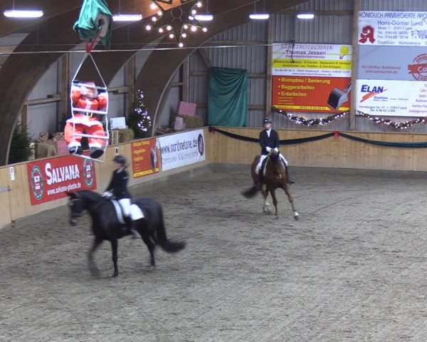 Reitturnier Leck 2021
